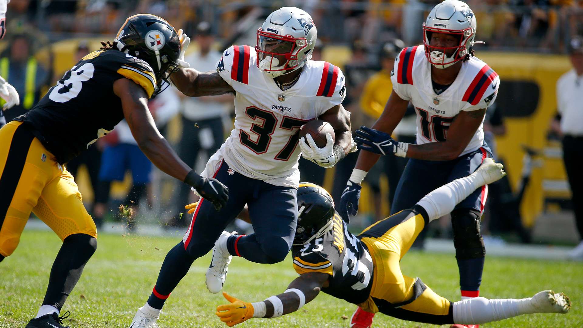 令人叹为观 令人叹为观