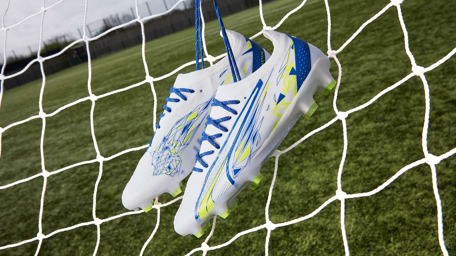 春与梦想 春与梦想