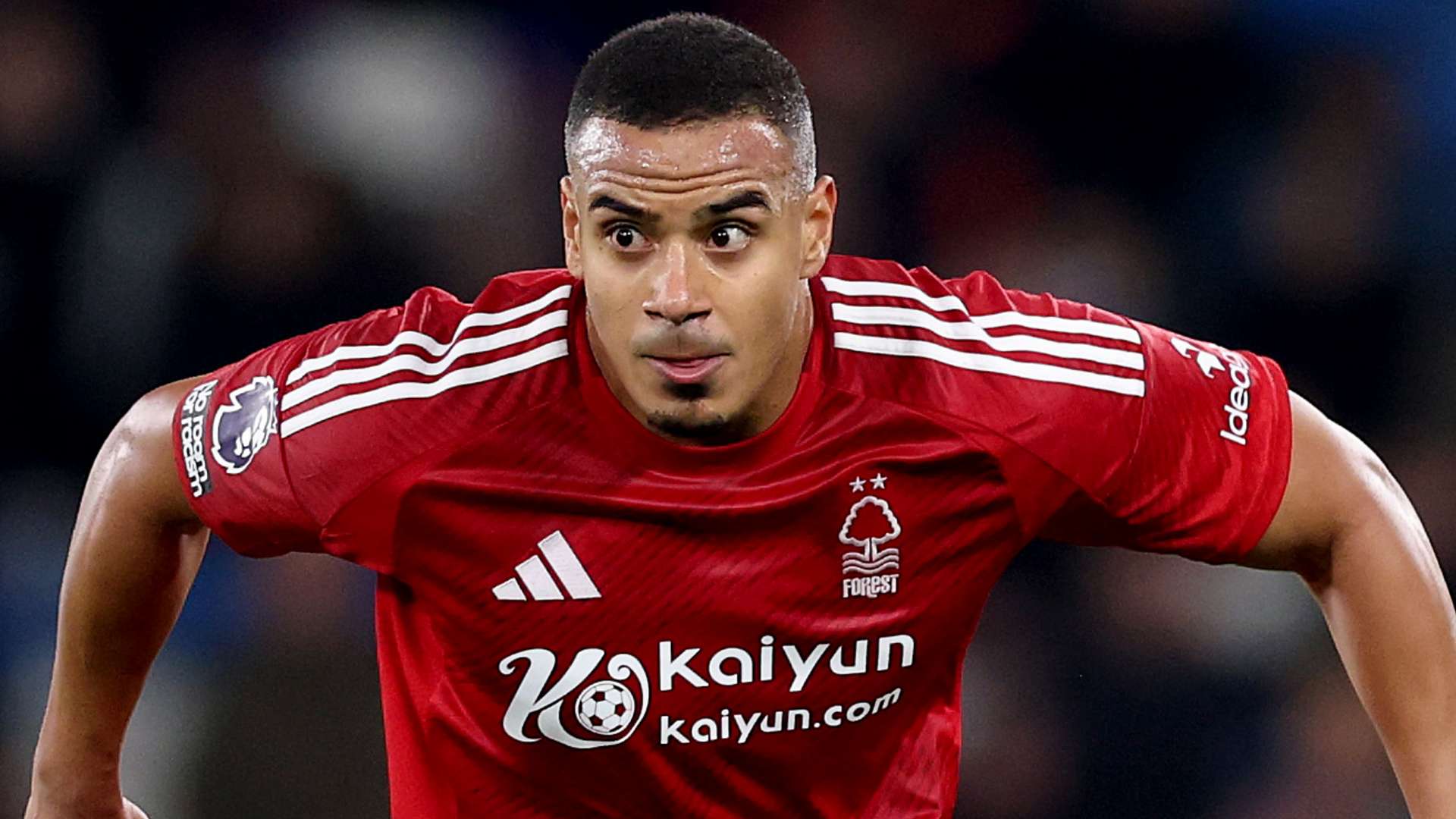 竞技表现 竞技表现