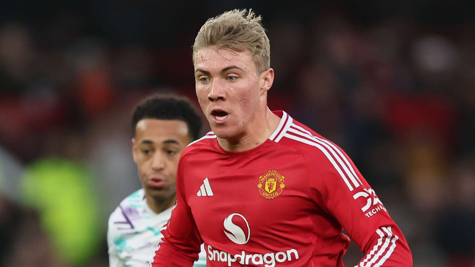 长的养分 长的养分